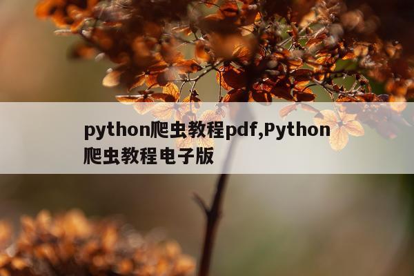 python爬虫教程pdf,Python爬虫教程电子版