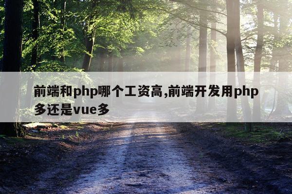 前端和php哪个工资高,前端开发用php多还是vue多