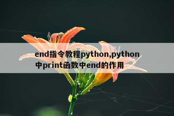 end指令教程python,python中print函数中end的作用