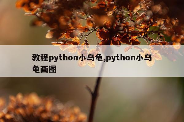 教程python小乌龟,python小乌龟画图