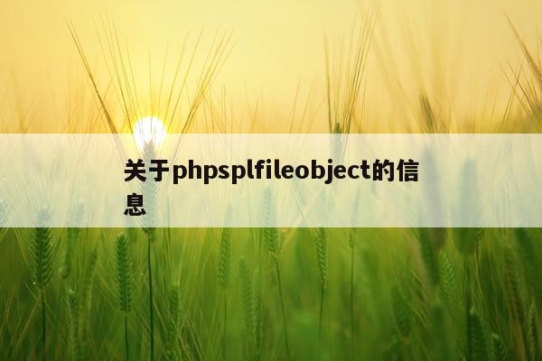 关于phpsplfileobject的信息