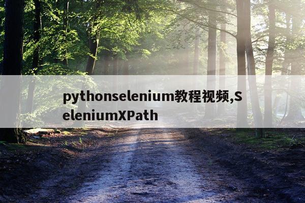 pythonselenium教程视频,SeleniumXPath