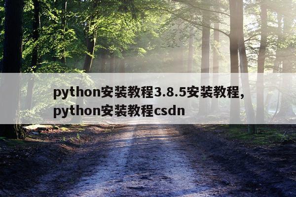 python安装教程3.8.5安装教程,python安装教程csdn