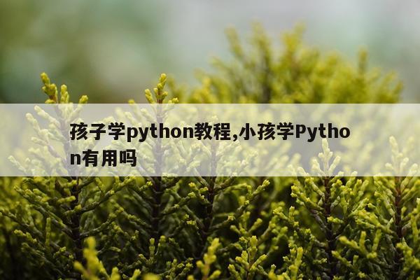 孩子学python教程,小孩学Python有用吗