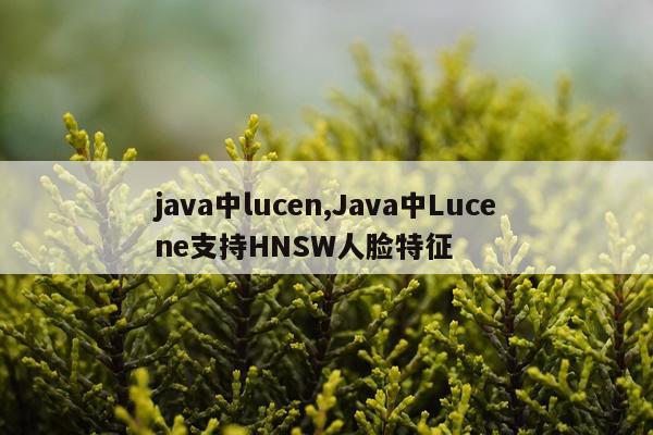java中lucen,Java中Lucene支持HNSW人脸特征