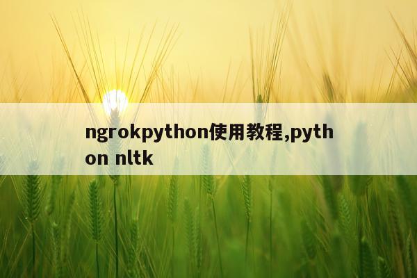 ngrokpython使用教程,python nltk