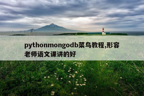 pythonmongodb菜鸟教程,形容老师语文课讲的好