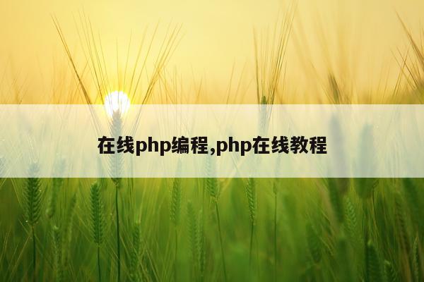 在线php编程,php在线教程
