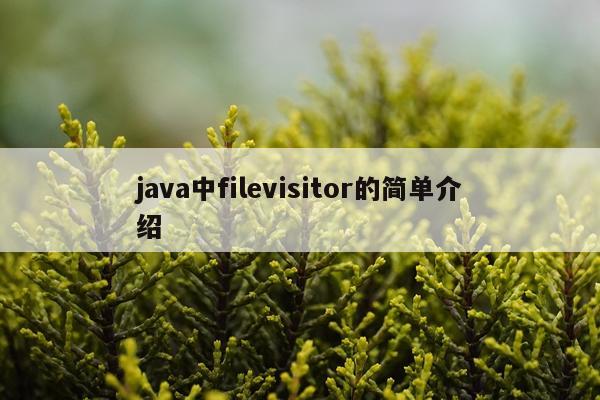 java中filevisitor的简单介绍
