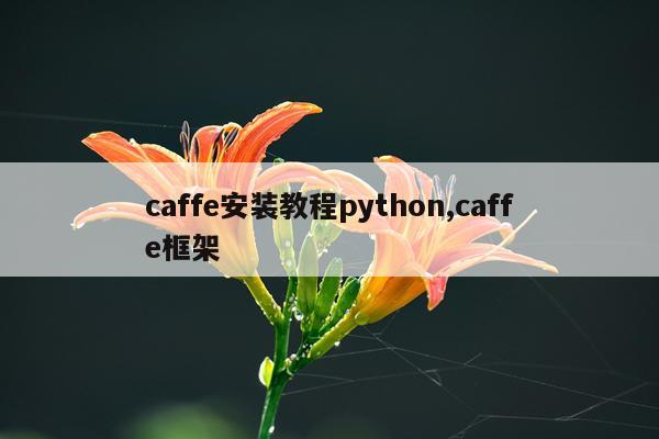 caffe安装教程python,caffe框架