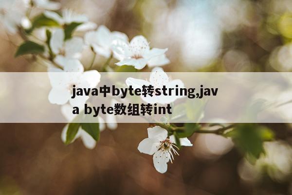 java中byte转string,java byte数组转int