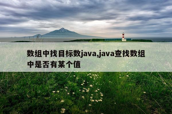 数组中找目标数java,java查找数组中是否有某个值
