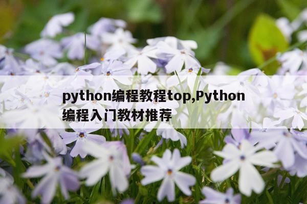 python编程教程top,Python编程入门教材推荐