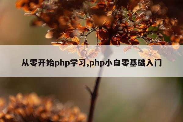 从零开始php学习,php小白零基础入门