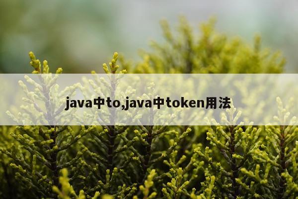 java中to,java中token用法