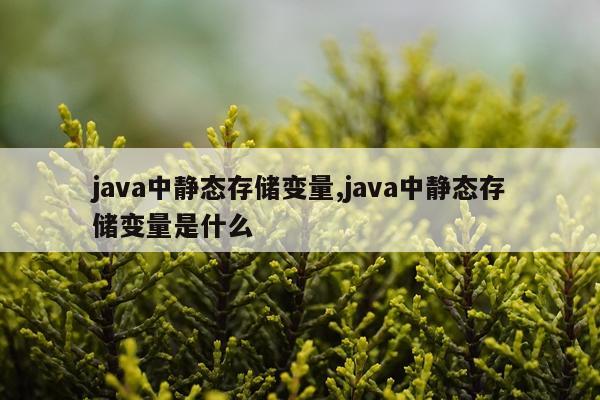java中静态存储变量,java中静态存储变量是什么