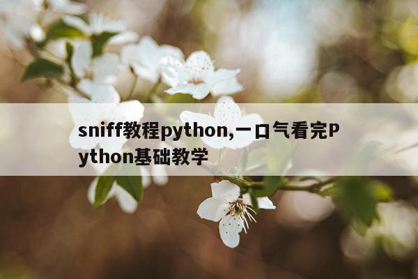 sniff教程python,一口气看完Python基础教学