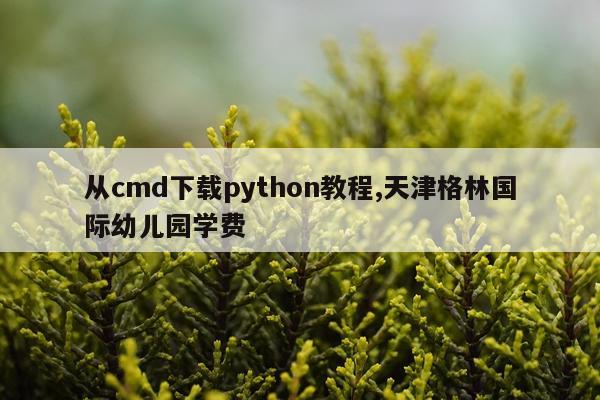从cmd下载python教程,天津格林国际幼儿园学费