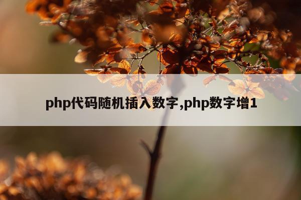 php代码随机插入数字,php数字增1