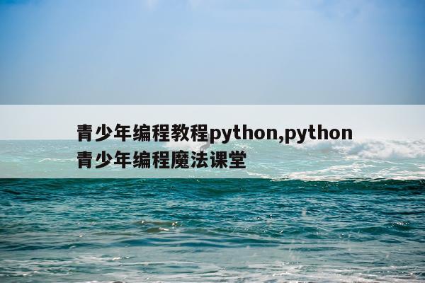 青少年编程教程python,python青少年编程魔法课堂