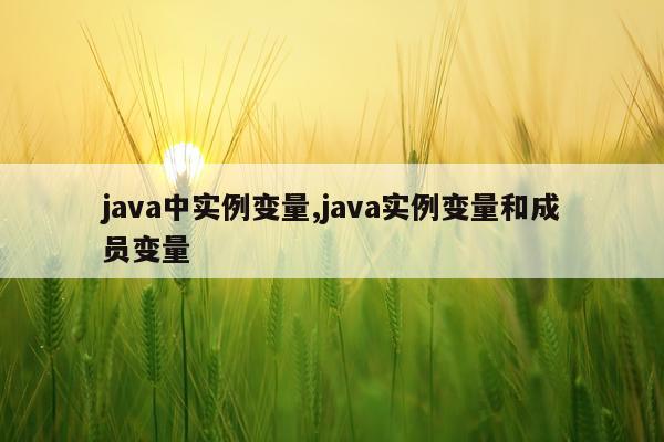 java中实例变量,java实例变量和成员变量