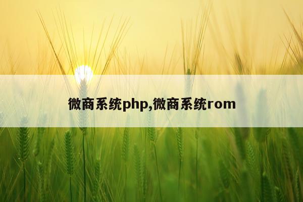 微商系统php,微商系统rom