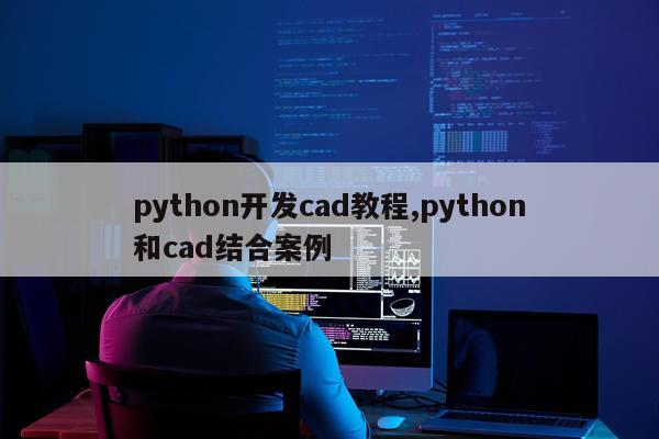 python开发cad教程,python和cad结合案例