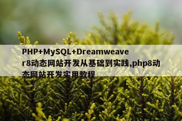 PHP+MySQL+Dreamweaver8动态网站开发从基础到实践,php8动态网站开发实用教程