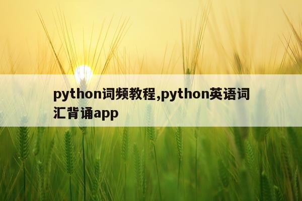 python词频教程,python英语词汇背诵app