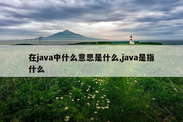 在java中什么意思是什么,java是指什么