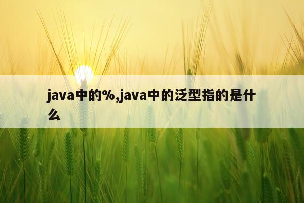 java中的%,java中的泛型指的是什么
