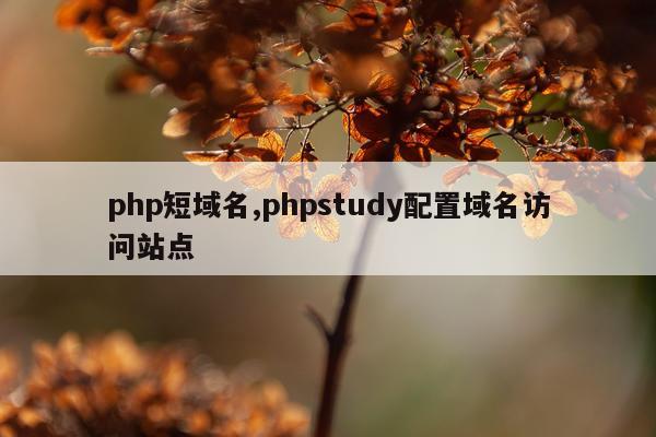 php短域名,phpstudy配置域名访问站点