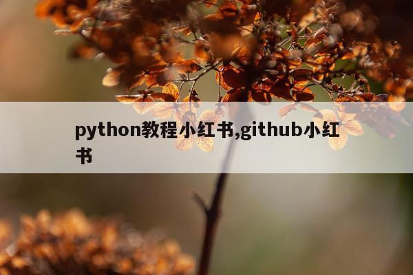 python教程小红书,github小红书