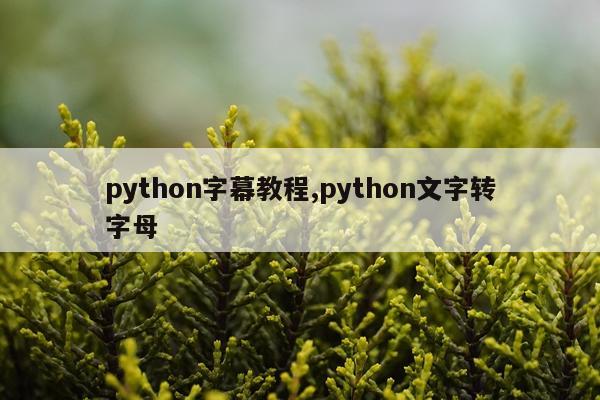 python字幕教程,python文字转字母