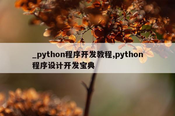 _python程序开发教程,python程序设计开发宝典