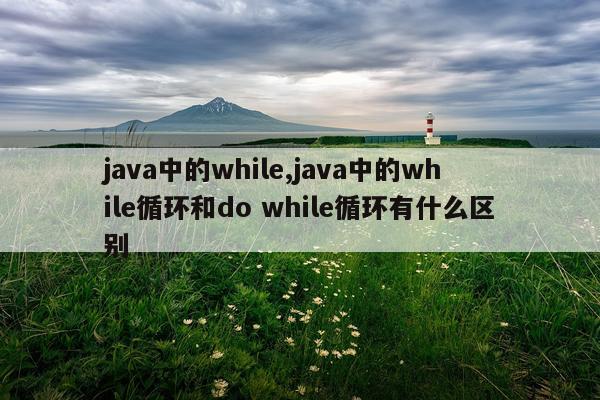 java中的while,java中的while循环和do while循环有什么区别