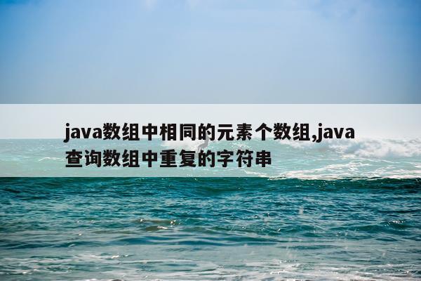 java数组中相同的元素个数组,java查询数组中重复的字符串