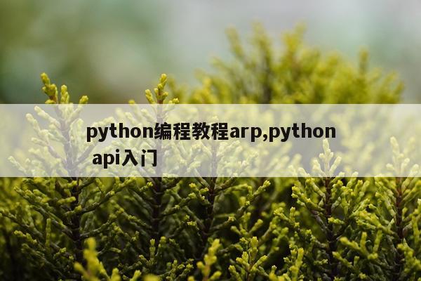 python编程教程arp,python api入门