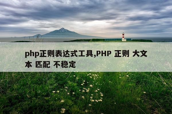 php正则表达式工具,PHP 正则 大文本 匹配 不稳定