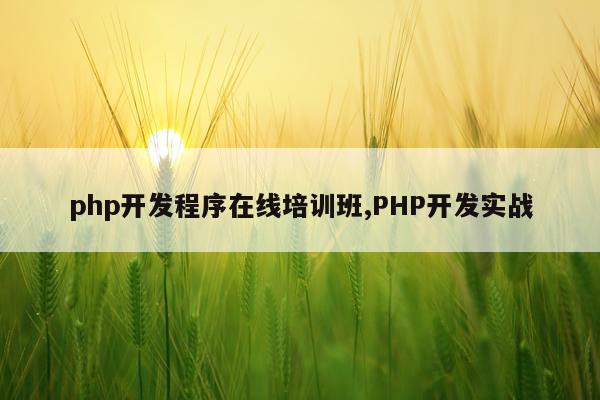 php开发程序在线培训班,PHP开发实战