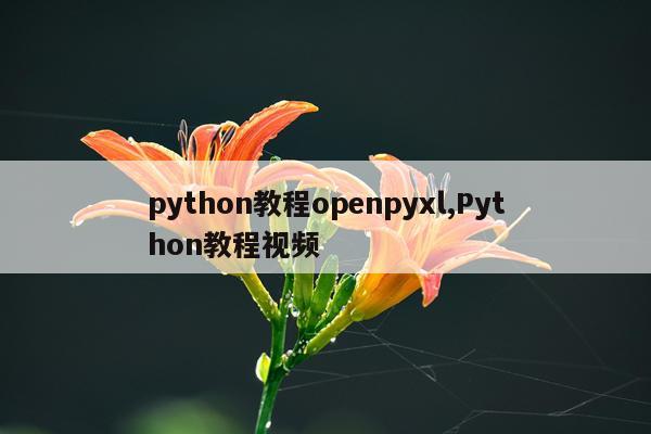 python教程openpyxl,Python教程视频