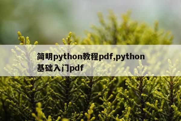 简明python教程pdf,python基础入门pdf
