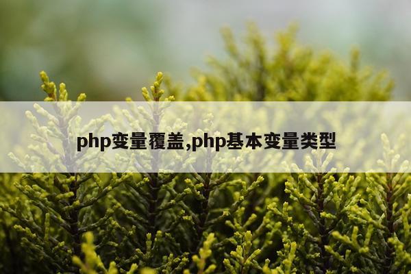 php变量覆盖,php基本变量类型