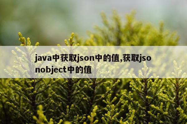 java中获取json中的值,获取jsonobject中的值