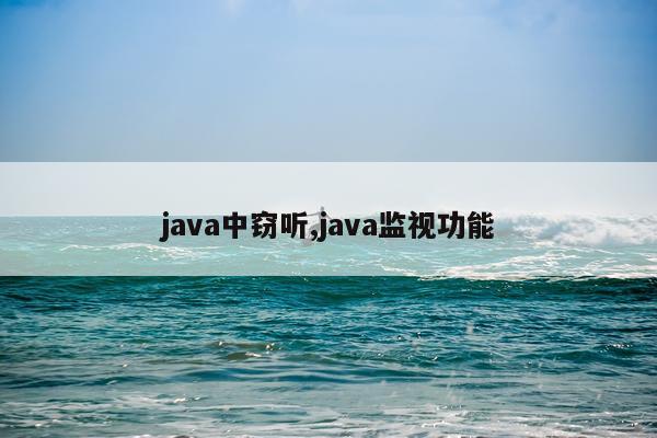 java中窃听,java监视功能