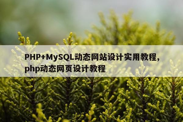 PHP+MySQL动态网站设计实用教程,php动态网页设计教程