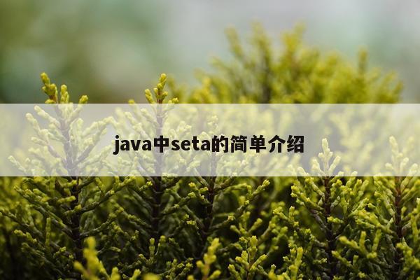 java中seta的简单介绍