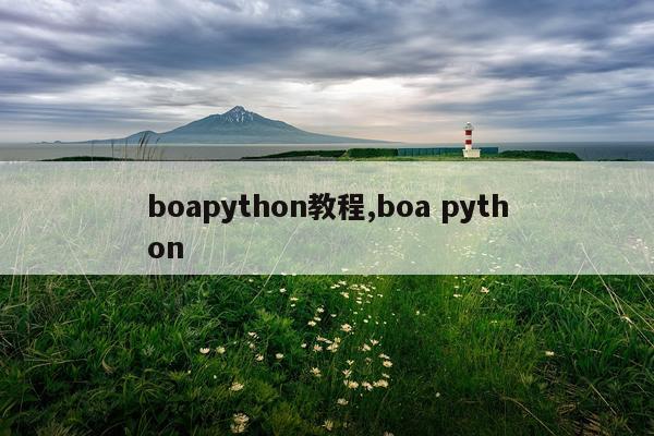 boapython教程,boa python