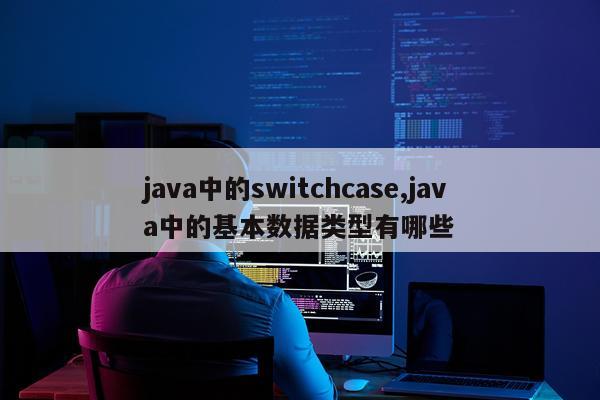 java中的switchcase,java中的基本数据类型有哪些