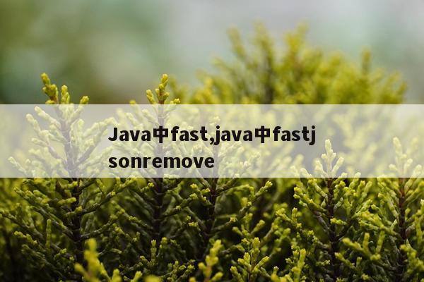 Java中fast,java中fastjsonremove